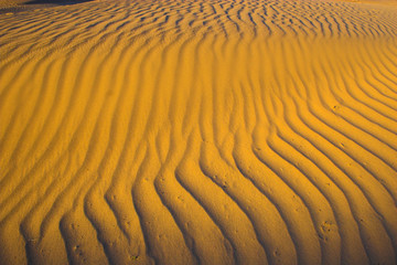 Desert sandscape 