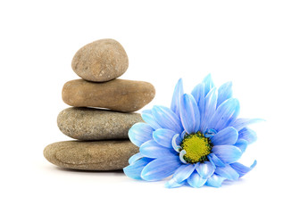 Obraz na płótnie Canvas therapy stones with flowers isolated