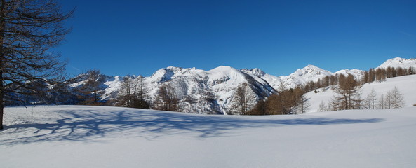 Fototapeta premium panorama neige et montagne