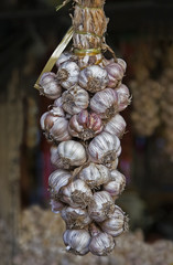 A large bunch of garlic cloves on exhibition in a market