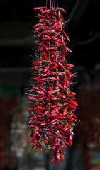 A large bunch of red chillies hanging in a market