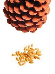 Piñones