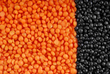 Rote Linsen und schwarze Linsen