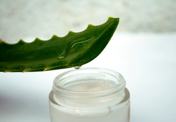 crema de aloe 2