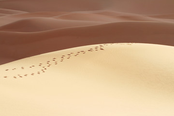 Sand desert