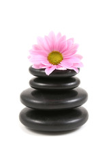Obraz na płótnie Canvas pebbles stack with pink daisy isolated on white