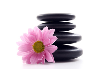 pebbles stack with pink daisy isolated on white