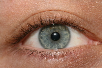 Eye