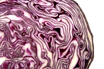 Rotkohl