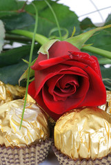 red rose sweet box 4