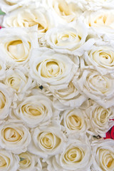 beautiful bouquet of white roses