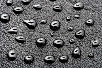 water drops with umbrella shape on black leather background
