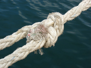 Fototapeta premium Rope. Unit .