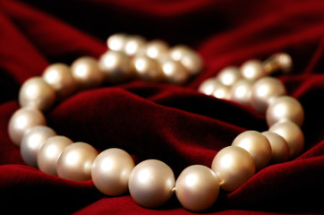 Necklace made out of real pearls on deep red velvet background