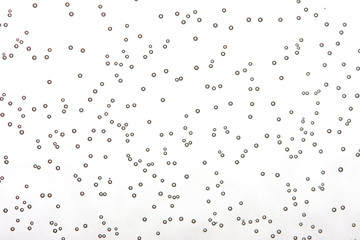 water bubbles shot with macro lens in studio 