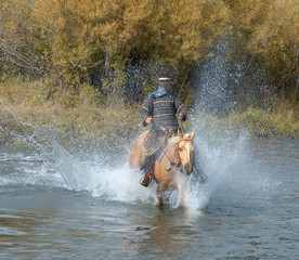 Cowboy gallops into river on his palomino
