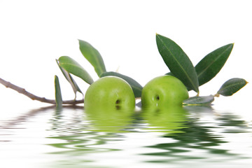 olive 127