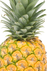 Fototapeta premium Pineapple with white background