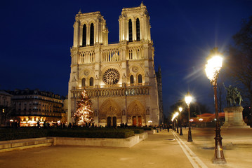 Fototapeta na wymiar Katedra Paryż