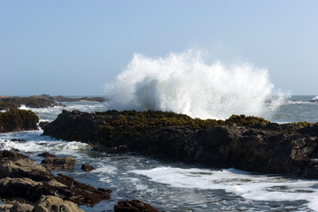Fototapeta na wymiar Central California coastline with rocks