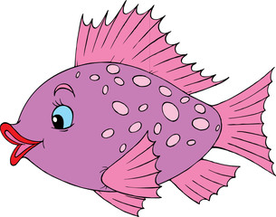 Coral fish