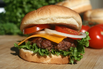 Hamburger