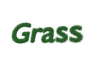 Grass logo