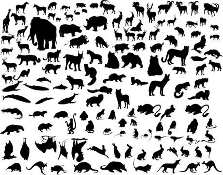 vector animals silhouette