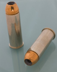 .44 Magnum ammunition that's topped with hollow points