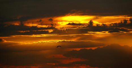 Fototapeta na wymiar Sonnenuntergang 12