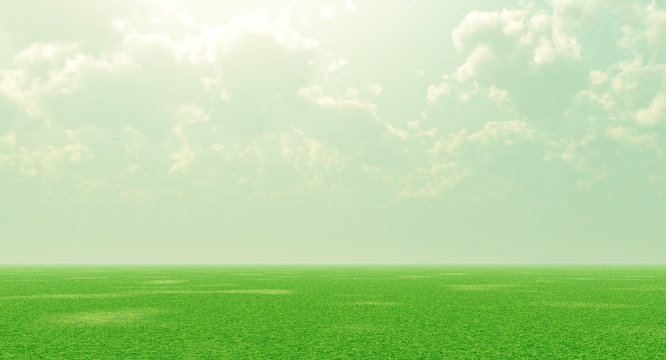 Spring landscape