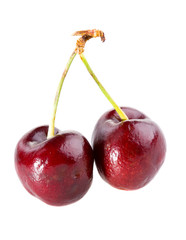 two cherry isolated isolated on white macro