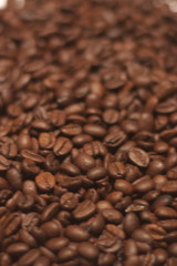 Kaffeebohnen