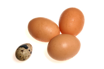 Tres  huevos de gallinas y uno de codorniz