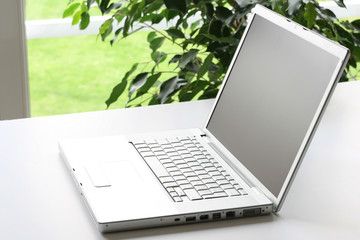 Laptop in a home office with a green plant in the background