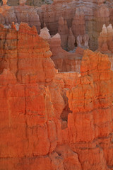  Amplitheatre of Bryce Canyon