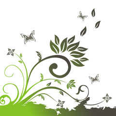 vector floral illustration