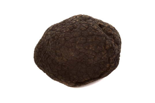 Black winter truffle from France