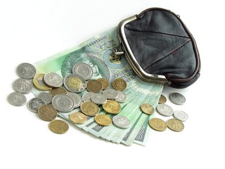 money and small purse