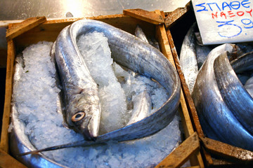Moray Eel's for sale at local Market in, Greece