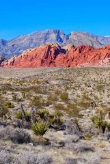Zelfklevend Fotobehang Red Rock Canyon Near Las Vegas Nevada © Harry HU