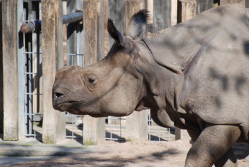 Zoologischer Garten Stuttgart / Wilhelma