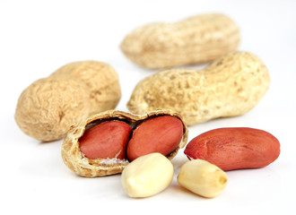 Peanuts with white background