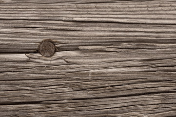 a macro picture of old wood and nail