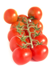 Tomato with white background.