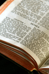 holy bible open to the book of hosea in the old testament