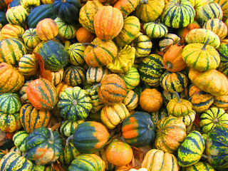 Embellishing pumpkins 
