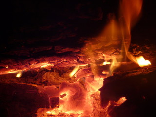 Fototapeta premium braise