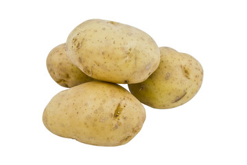 four young potatoes isolated on perfectly white background