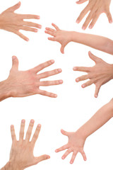 lots of human hands isolated on white